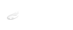沈陽租車網(wǎng)